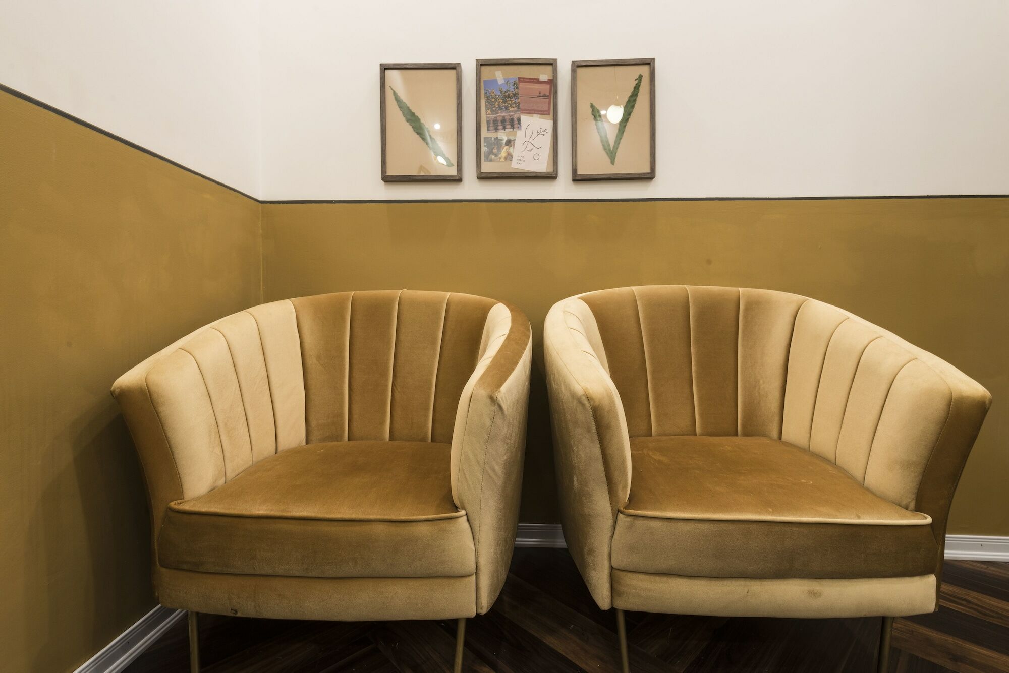 Chloe & Leo Boutique Homestay Hanoi Zewnętrze zdjęcie